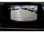 Kia Picanto 1.0 DPi DynamicLine Cruise/Camera/Airco Prijs Rijklaar
