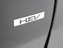 Kia Niro 1.6 GDi Hybrid DynamicPlusLine - € 2.500 INRIULPREMIE -  Stoel-/stuurverwarming - Adaptieve Cruise Control - Lederenbekleding - Direct Leverbaar!