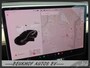 Tesla Model 3 Standard RWD Plus 60 kWh Leer Pano Navi Camera