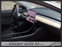 Tesla Model 3 Standard RWD Plus 60 kWh Leer Pano Navi Camera