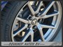 Tesla Model 3 Standard RWD Plus 60 kWh Trekhaak Pano Leer