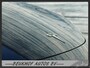 Tesla Model 3 Standard RWD Plus 60 kWh Trekhaak Pano Leer
