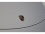 Porsche 911 991.2 3.0 CARRERA 4S PDK *INCL BTW* | PANO | ACHTERASSTURING | SPORT-CHRONO | SPORTUITLAAT | PDLS+ | BOSE | ACC