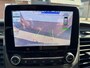 Ford Transit 350 2.0 TDCI L3H3 Trend RWD Camera, PDC V+A, Voorruitverw. Trekhaak
