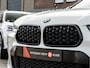 BMW X2 sDrive20i High Exe Edition M-Sport ORG NL SCHAALSTOEL SHADOW LINE 19 INCH HIFI AUDIO HUD TREKHAAK