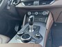 Alfa Romeo Stelvio 2.2d AWD Veloce | Carplay | Zw. Hemel | Sportst. | Camera | Elek.st | 20" |
