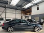 Mercedes-Benz E-klasse 240 Avantgarde Leder Xenon Trekhaak