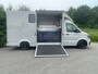 MAN TGE 3.180 Paardewagen / Horsetruck / Veewagen