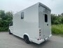 MAN TGE 3.180 Paardewagen / Horsetruck / Veewagen