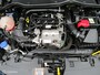 Ford Fiesta 1.0 EcoBoost ST-Line 125pk! Geen 2e Zo mooi! NL auto
