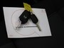 Citroën C3 Aircross 1.2 PureTech Feel Cruise controll | Android auto | Apple carplay