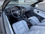 BMW 3-Serie Cabrio 320i M-Pakket Arico|Cruis|Elektdak|21Board Zwart