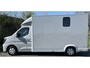 Renault Master Paardenwagen / Horsetruck / Veewagen / Nieuw & BPM vrij! T35 2.0 dCi 170 L3H2 Extra