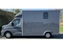 Renault Master Paardenwagen / Horsetruck / Veewagen /Nieuw & BPM vrij! T35 2.0 dCi 170 L3H2 Extra