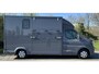 Renault Master Paardenwagen / Horsetruck / Veewagen /Nieuw & BPM vrij! T35 2.0 dCi 170 L3H2 Extra