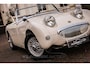 Austin Healey Sprite MKI Frogeye Fully Restored