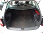 Skoda Fabia Combi 1.0 TSI Greentech 95pk Business Edition | Origineel NL |
