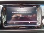 Skoda Fabia Combi 1.0 TSI Greentech 95pk Business Edition | Origineel NL |