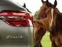 Maserati Grecale 3.0 V6 Trofeo | Matgrijs | BTW | Carbon | Pano | Sonus Faber