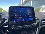 Ford Fiesta 1.0 EcoBoost Titanium X 125pk/92kW 6-bak | Trekhaak | Winter Pack | Navigatie | Cruise | Climate | PDC | DAB | etc. etc.