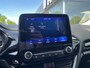 Ford Fiesta 1.0 EcoBoost Titanium X 125pk/92kW 6-bak | Trekhaak | Winter Pack | Navigatie | Cruise | Climate | PDC | DAB | etc. etc.