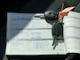 Renault Trafic 2.0 dCi T27 L1H1*A/C*CRUISE*3P*HAAK*IMPERIAAL*