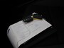 Skoda Octavia Combi 1.0 TSI Greentech Ambition Business | Trekhaak | Panoramadak | Cruise Control | Climate Control |