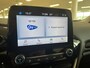 Ford Fiesta 1.0 EcoB. Hybrid Titanium Winterpakket, Private lease € 459,- (60mnd/10.000km)