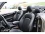 MINI John Cooper Works Cabrio 2.0 S / JCW / Leder / Navi / F1 flippers