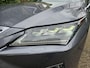 Lexus RX 450h 4WD President Line Elektrisch Schuif/Kanteldak