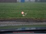 Audi Q8 50TDI S-LINE HEADUP/22''/MASSAGE/VENTILATIE/SOFTCLOSE/360*CAMERA