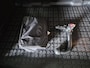 Ford Kuga 1.5 EcoBoost ST Line | Navi | Clima | Cruise | PDC | Camera | Automaat |