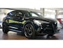 Alfa Romeo Stelvio 2.9 V6 AWD Quadrifoglio | 21 inch | rode gordels