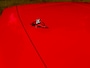 Chevrolet Corvette C5 Convertible 5.7 V8 344pk Automaat NL-auto 52.055km NAP #NIEUW