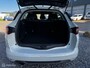 Renault Megane Estate 1.6 TCe GT RS 206PK Parelmoer Aut HUD