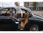 Jaguar 340 