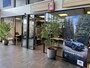 Subaru Forester 2.0 Intro | All season banden | Trekhaak | Apple Carplay & Android Auto | Parkeersensoren | Cito Onderhouden