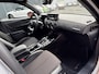 DS 3 Crossback E-Tense Performance Line+ 50 kWh Camera / Navigatie / Lm velgen