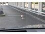 Bentley Bentayga 6.0 W12 Mulliner I Pano I ACC I Luchtvering
