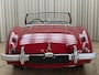 Austin Healey 100/4 BN2 Roadster / 1956 / 4-Speed Overdrive / Tonneau / Softtop / Hobbymatig Gerestaureerd