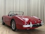 Austin Healey 100/4 BN2 Roadster / 1956 / 4-Speed Overdrive / Tonneau / Softtop / Hobbymatig Gerestaureerd