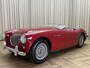 Austin Healey 100/4 BN2 Roadster / 1956 / 4-Speed Overdrive / Tonneau / Softtop / Hobbymatig Gerestaureerd