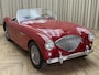 Austin Healey 100/4 BN2 Roadster / 1956 / 4-Speed Overdrive / Tonneau / Softtop / Hobbymatig Gerestaureerd