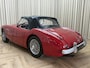 Austin Healey 100/4 BN2 Roadster / 1956 / 4-Speed Overdrive / Tonneau / Softtop / Hobbymatig Gerestaureerd