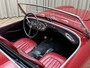 Austin Healey 100/4 BN2 Roadster / 1956 / 4-Speed Overdrive / Tonneau / Softtop / Hobbymatig Gerestaureerd