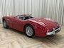 Austin Healey 100/4 BN2 Roadster / 1956 / 4-Speed Overdrive / Tonneau / Softtop / Hobbymatig Gerestaureerd