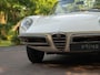 Alfa Romeo Spider Duetto 1600 | 1st series | Production nr. 98