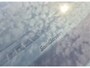 Ford Kuga 1.5 150pk ST-Line X DAP, Tech Pack, Winter Pack en trekhaak nieuw 48.000,-