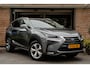 Lexus NX 300h AWD President Line Trekhaak/ Mark Levinson audio/ 360 camera/ DAB/ Elek. achterklep