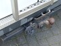 Ford Transit 260S 2.2 TDCI Economy Edition nl auto met NAP